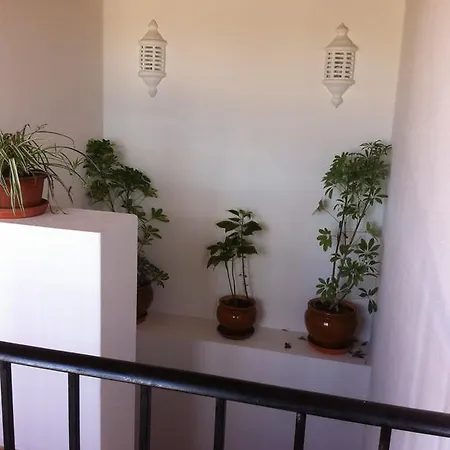 乡村民宿 Casa Dos Medronheiros - Jose Filipe *